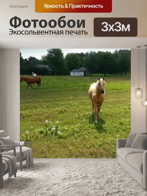 Фотообои Лошади в поле