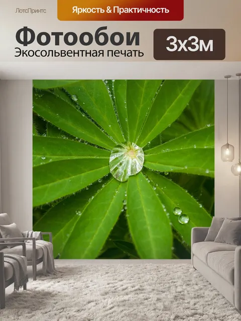Фотообои Дождь