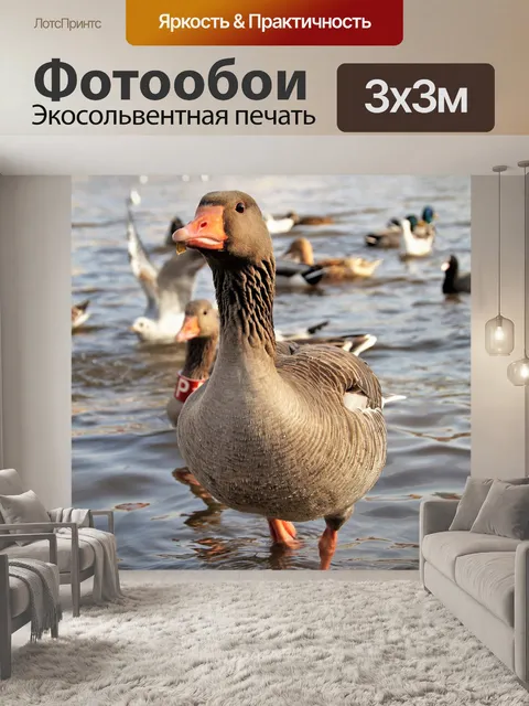 Фотообои Гусь