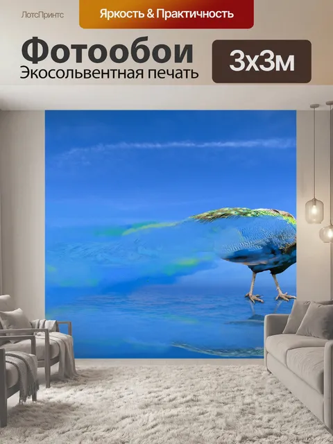 Фотообои Задний план