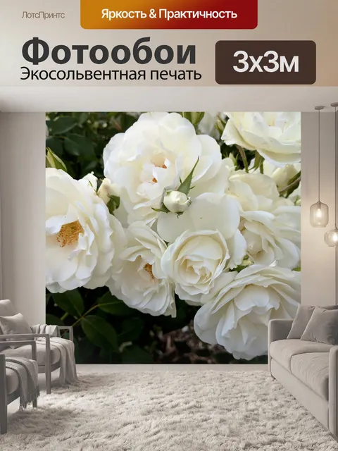 Фотообои Белые розы