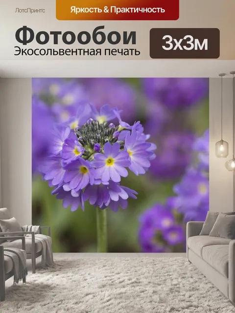 Фотообои Мука примулы
