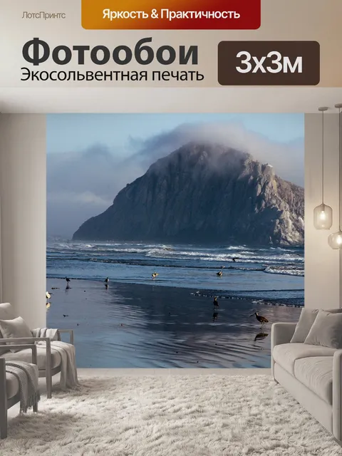 Фотообои Калифорния