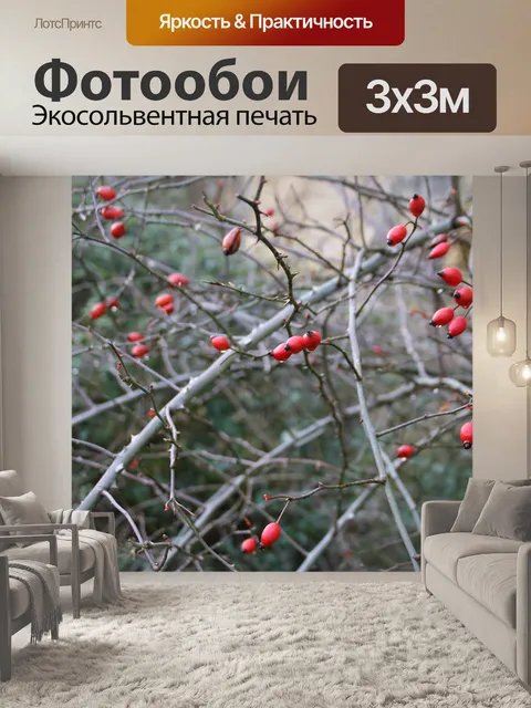 Фотообои Красная ягода