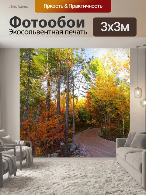 Фотообои Осенняя дорога