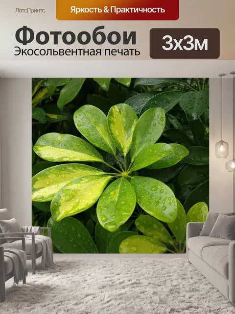 Фотообои Грин