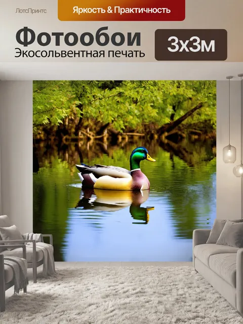 Фотообои мускусная утка, плавающая в спокойных водах лесного озера, окруженного густыми зелеными зарослями и…