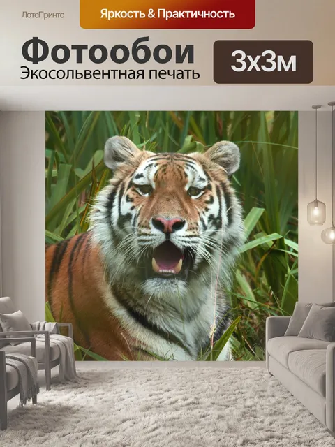 Фотообои Тигр