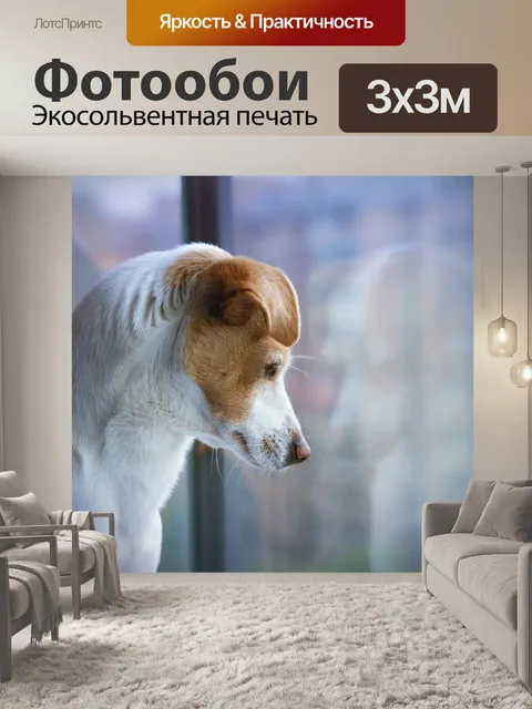 Фотообои Щенок