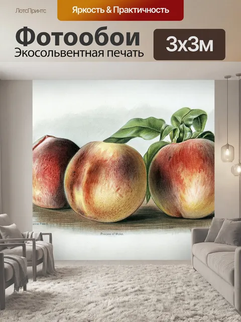 Фотообои Персиковый фрукт винтажное искусство