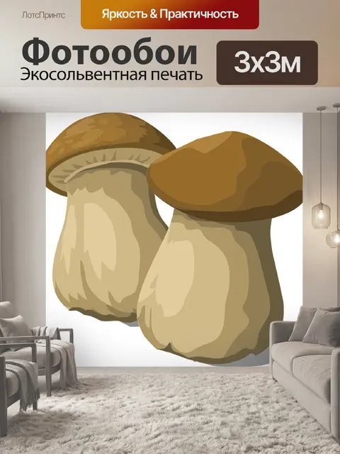 Фотообои Белый гриб