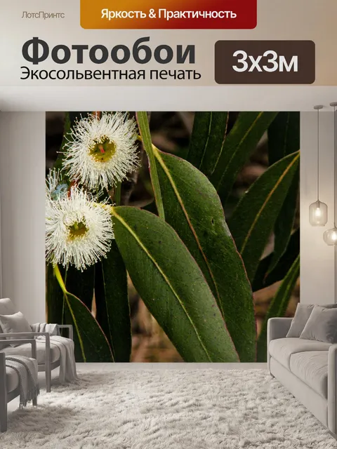 Фотообои Волоконно-оптические цветы