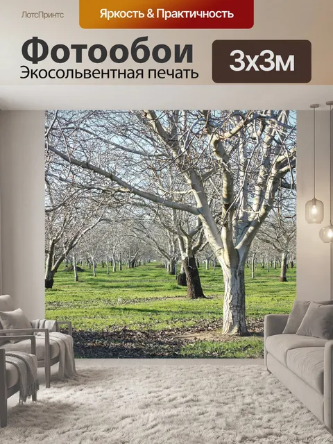 Фотообои Фруктовый сад