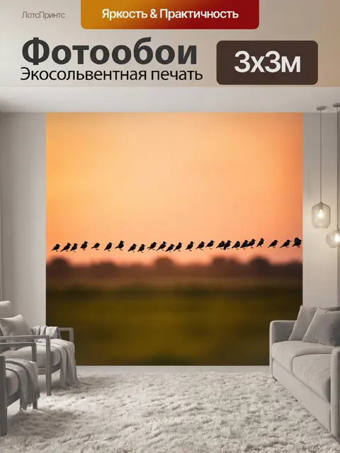 Фотообои птицы, собирающиеся на вечернем закате, теплые оттенки и атмосфера спокойствия, стиль романтического пейзажа