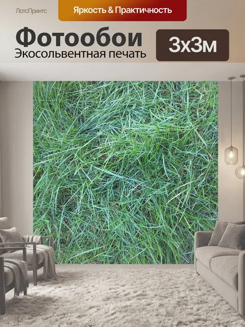 Фотообои зеленая трава
