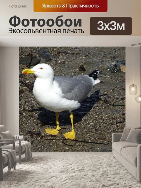 Фотообои Птицы