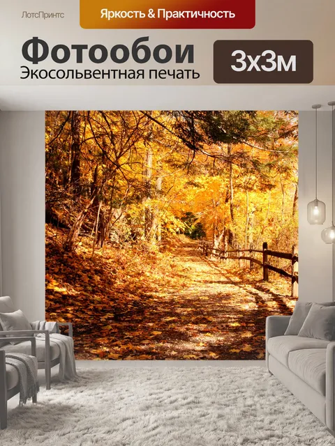 Фотообои Лесная тропа
