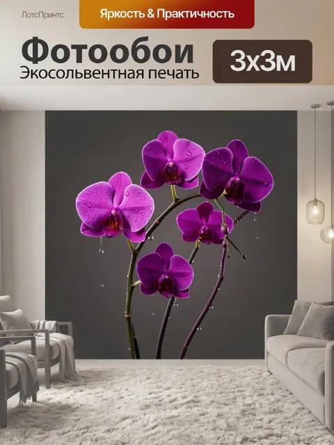Фотообои Фиолетовые орхидеи с каплями росы