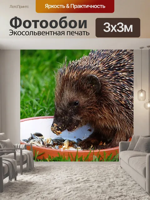 Фотообои Животное
