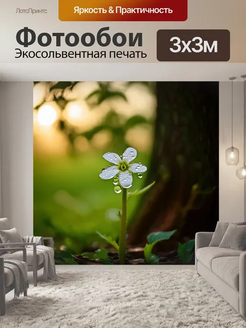Фотообои задумайтесь о маленьком белом цветке, растущем в тени большого дерева