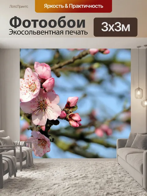 Фотообои Цветок миндаля
