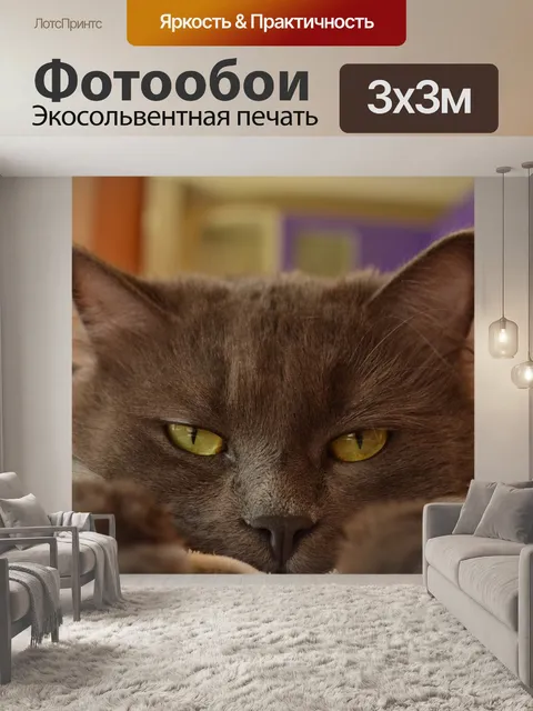 Фотообои Eyes