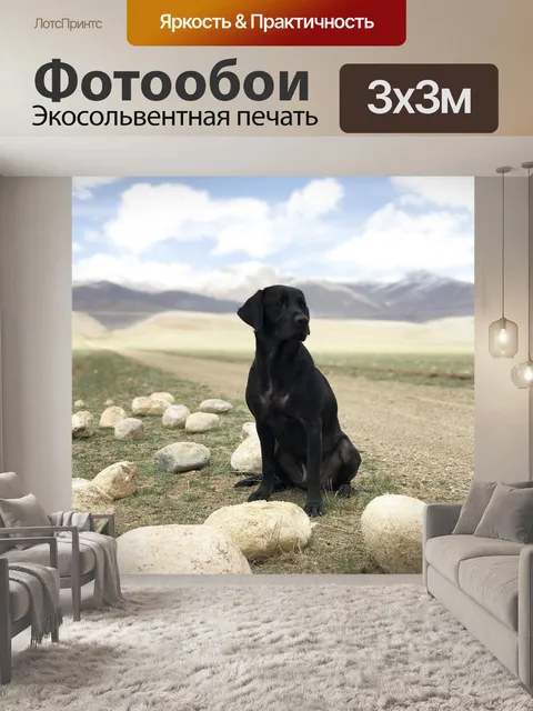 Фотообои Черный пес