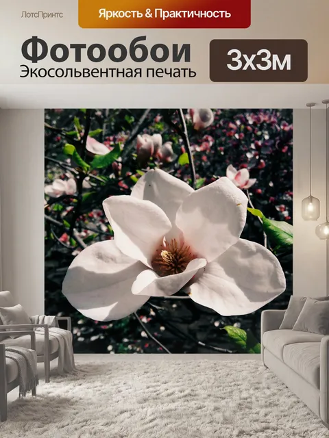 Фотообои Цветок
