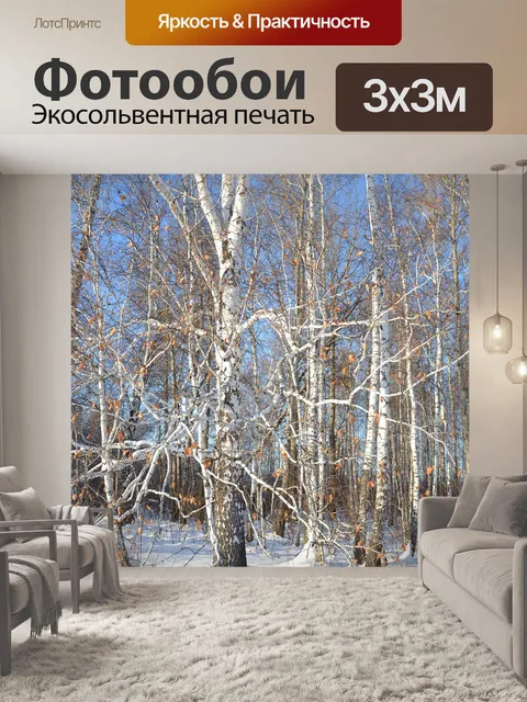 Фотообои Березы