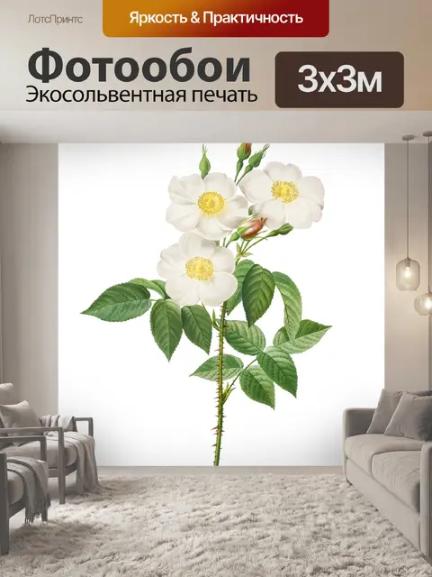 Фотообои Роза винтажное искусство старое