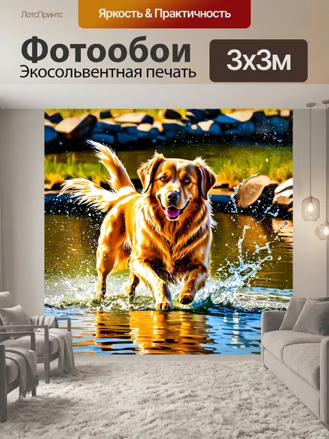 Фотообои золотистый ретривер, играющий в воде у речки, с брызгами воды, отражающими солнечный свет