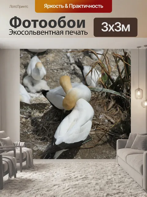 Фотообои Murawai