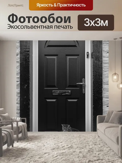 Фотообои Кошка и двери