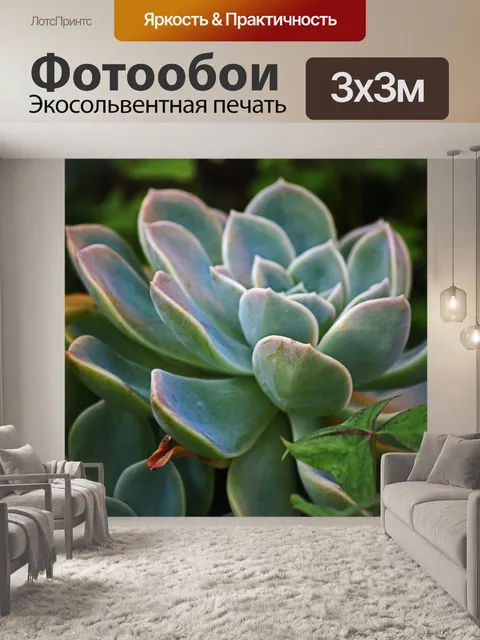 Фотообои роза пустынная сочные