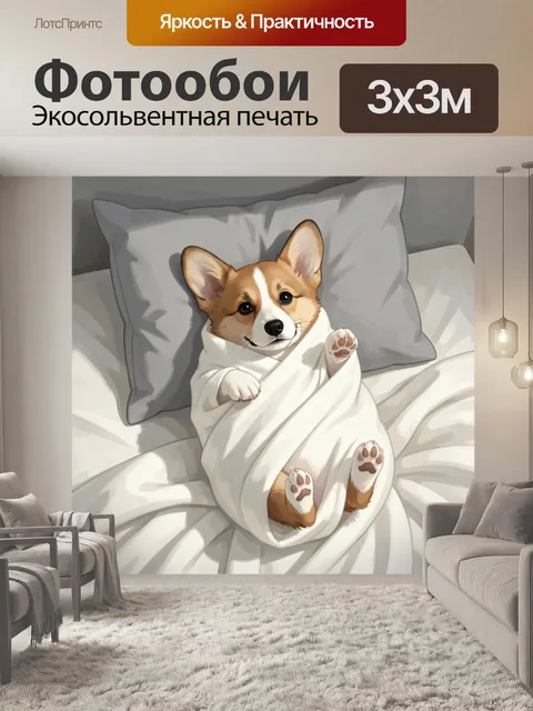 Фотообои Щенок корги в одеяле