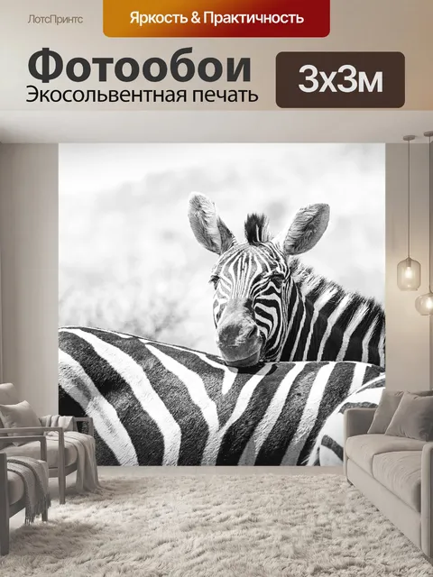 Фотообои Зебра