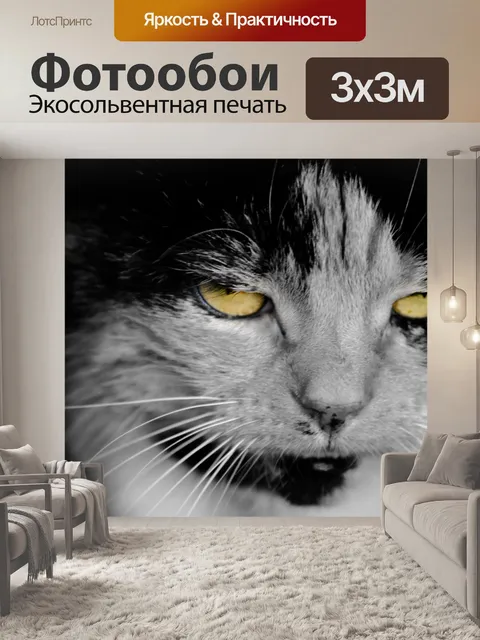 Фотообои Cat - желтые глаза