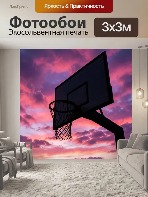 Фотообои Силуэт баскетбольного щита