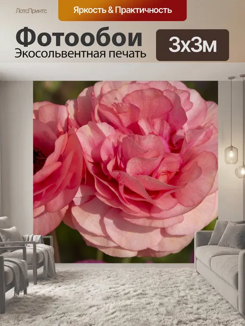 Фотообои цветы лютика
