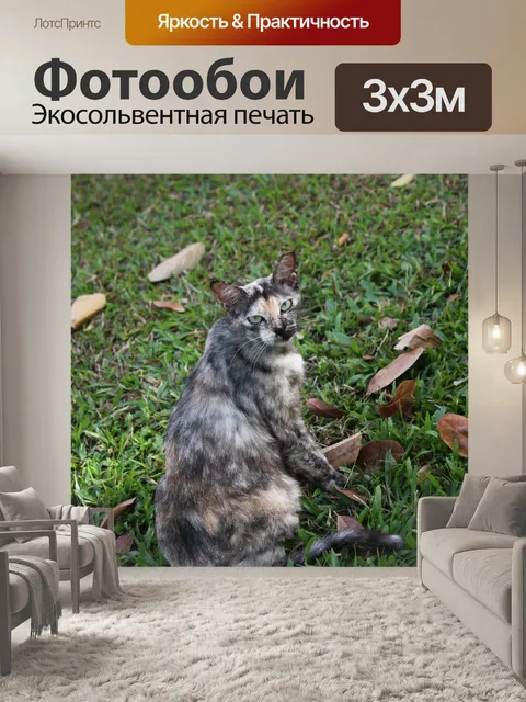 Фотообои серая дикая кошка с желтыми глазами