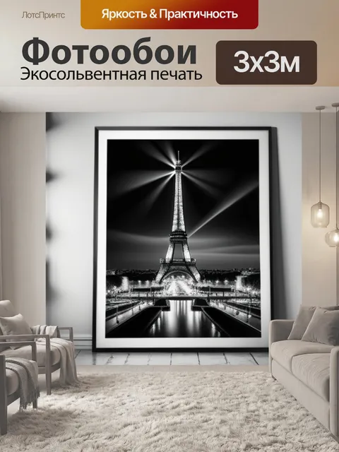 Фотообои с парижем чернобелый