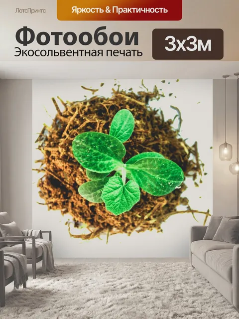 Фотообои Молодой завод деревьев
