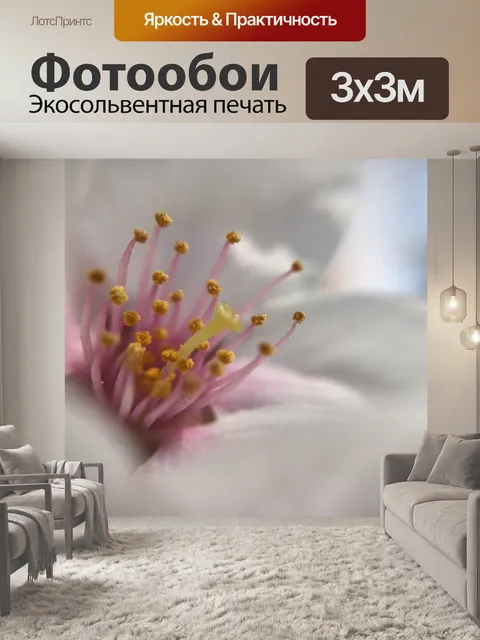 Фотообои Цветок