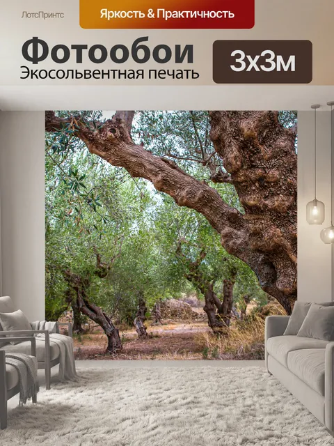 Фотообои Оливковая роща