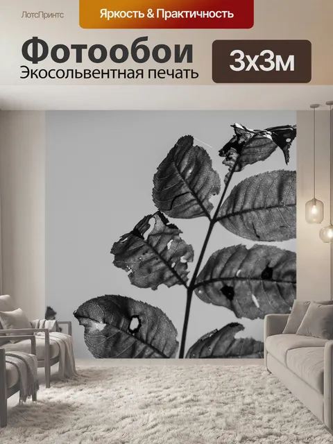Фотообои Черно-белый