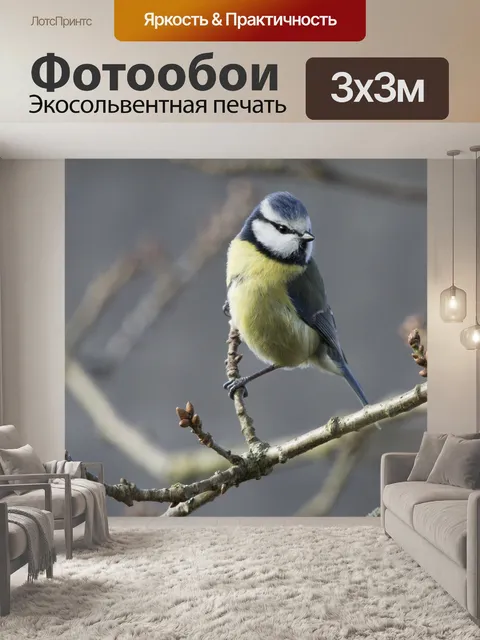 Фотообои Весенняя синяя синица