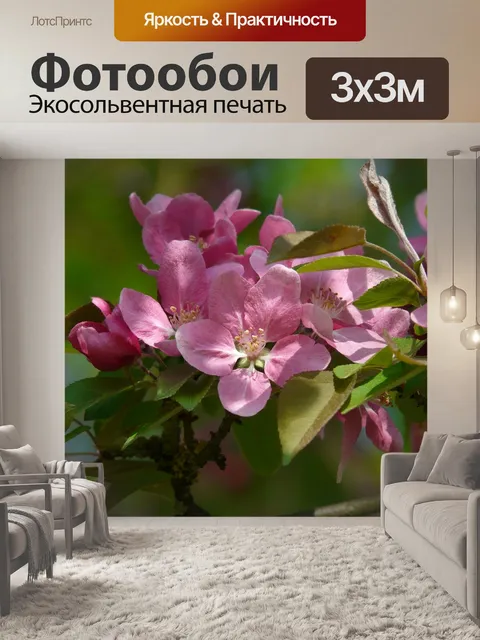 Фотообои Цветение персикового дерева