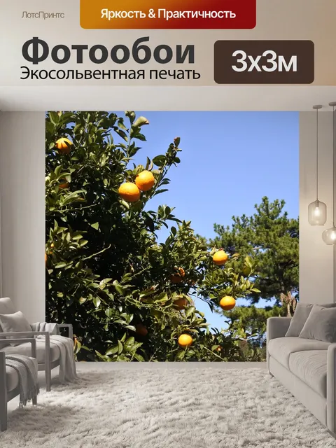 Фотообои Дерево