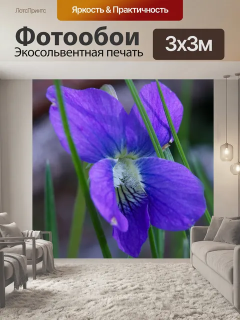 Фотообои Цветочный