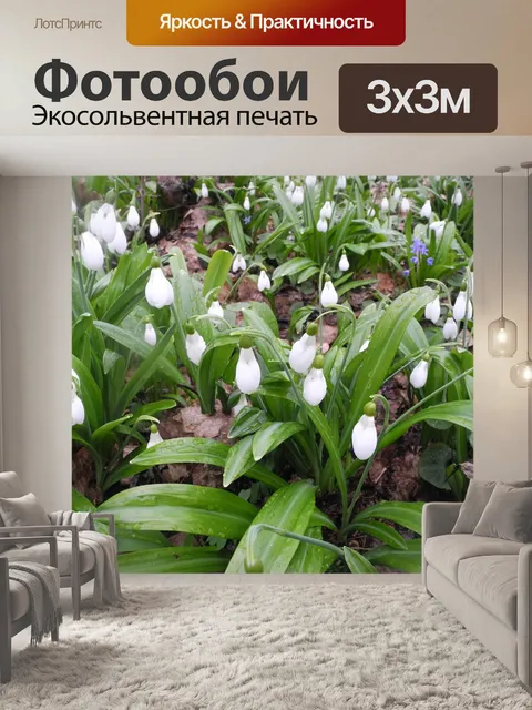Фотообои Подснежник